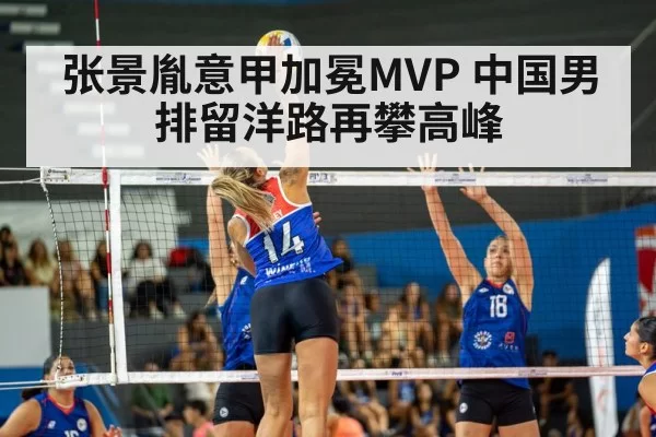 volleyball match action
